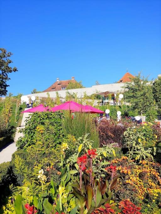 Rodtsches Palais 6 Apartment